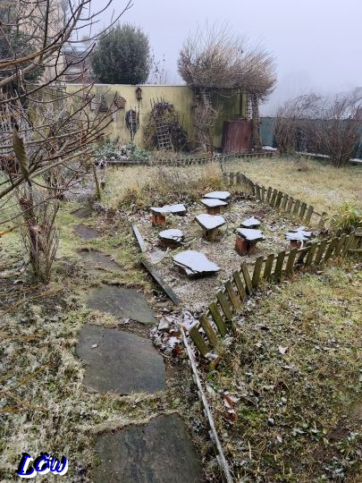 15.12.2025 - Zarte Schneedecke